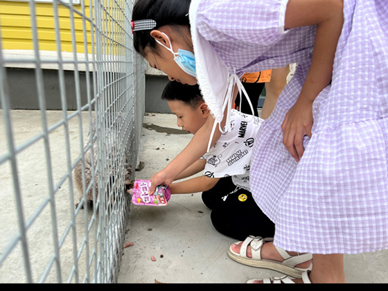 MGM������÷(Macau)�ɷ����޹�˾-Official website